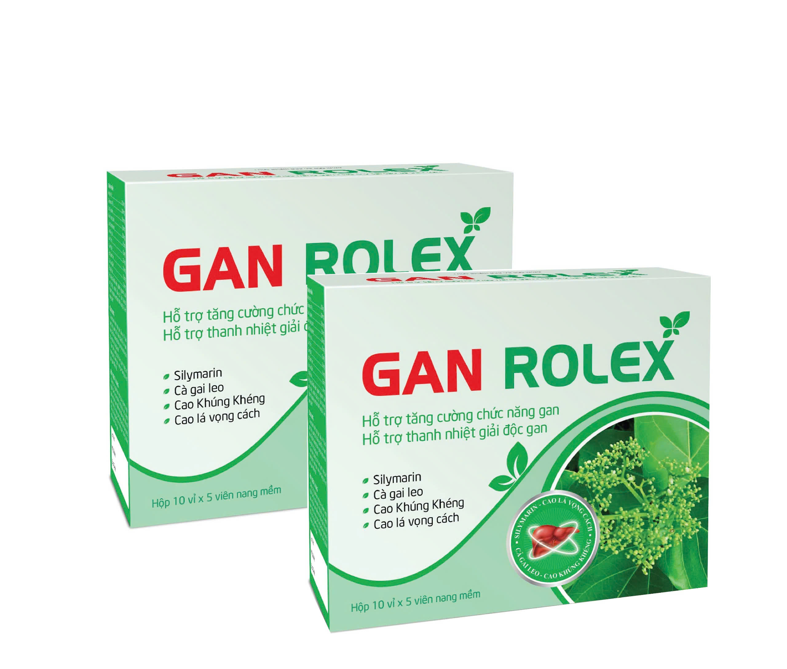 COMBO 2 hộp - Gan Rolex